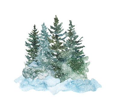 Hand painted snowy winter trees on white background. Watercolor evergreen forest illustration. Christmas scene. Nature landscape graphic.