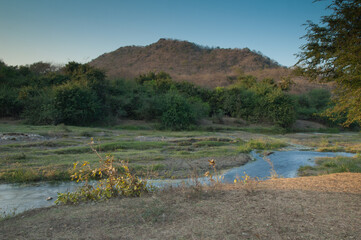 Hiran river as it passes through Sasan. Gir Sanctuary. Gujarat. India.