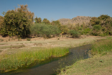 Hiran river as it passes through Sasan. Gir Sanctuary. Gujarat. India.