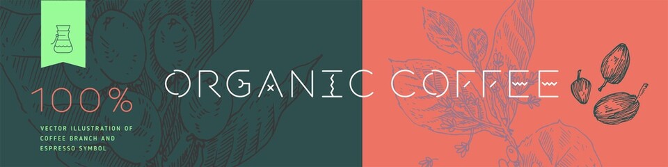 Banner organic coffee, template design for fresh roasted coffee concept, bakery banner for cafe design, cafeteria, flower panoramic background with vector coffee beans illustration in engraving style.