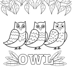 coloring page for kid ,three young beautiful owl on branch of tree.