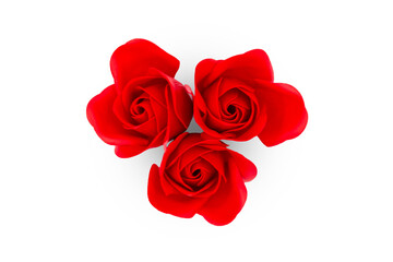 Beautiful red rose isolated on white background 