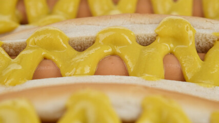 hot dog with mustard close up. Classic hot dog with mustard