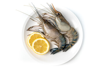 Close up Fresh shrimp and long arm isolated on white background. The giant river prawn on white background. Grilled giant river prawns are popular Thai cuisine.