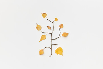 Autumnal leaves and twigs
