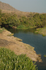 Obraz premium Hiran river as it passes through Sasan. Gir Sanctuary. Gujarat. India.