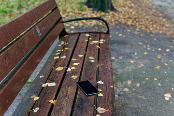 Fototapeta premium Forgotten smartphone on a wet park bench on a rainy autumn day