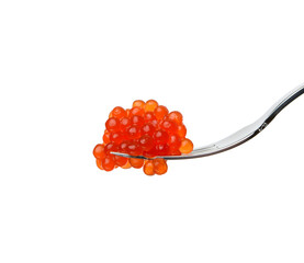 fresh grained red chum salmon caviar in metallic fork