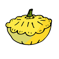 One yellow squash in doodle style isolated on white background. Vector illustration, hand-drawing. Vegetable for a healthy diet.