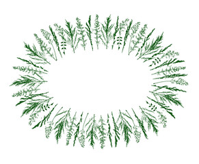 Oval frame with silhouettes of wild herbs on white - background with green grass for natural spring and summer design