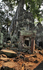Ta Prohm temple at Angkor. Siem Reap province. Cambodia
