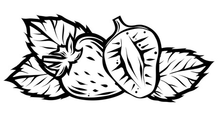 Strawberries, monochrome hand drawn vector