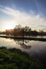 Sunset on the river Ticino. Trees reflected in water