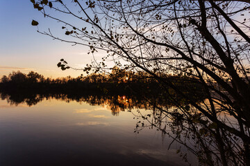 Sunset tree silhouette. River Ticino, Lombardy