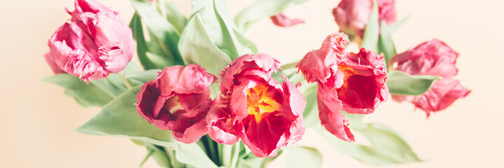 Naklejka premium Beautiful Bunch of Peony Style Tulips in a Vase on the dusty pink background, spring holiday concept, copy space, banner size