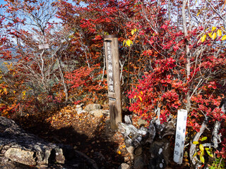 紅葉の両神山山頂