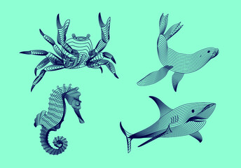 Set marine graphic animals. Vector illustration. The crab,  shark, sea horse, seal  consist of lines.Digital elements design  for business cards, invitations, gift cards, flyers and brochures, web.