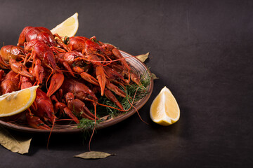 Crayfish boiled on a dish with dill spices and lemon.