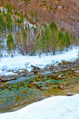 Arazas River, Ordesa Valley, Ordesa y Monte Perdido National Park, UNESCO Biosphere Reserve of Ordesa-Vinamala, Pyrenees, Huesca, Aragon, Spain, Europe