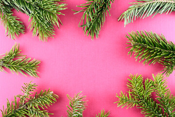 Pink background with branches of a Christmas tree. Recording frame