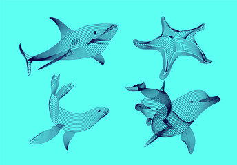 Set marine graphic animals. The starfish, shark, seal,  dolphin,  consist of lines.Digital elements design  for business cards, invitations, gift cards, flyers and brochures, web.