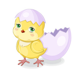 Cute baby Chicken and egg