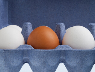 One brown egg among two white eggs