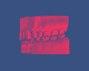 Red vintage human tooth and gum illustration on blue BG