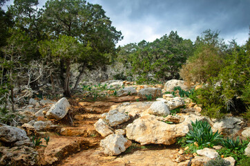 Fototapeta na wymiar Trail of Aphrodite. Akamas Peninsula, Cyprus