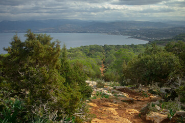 Fototapeta na wymiar Trail of Aphrodite. Akamas Peninsula, Cyprus