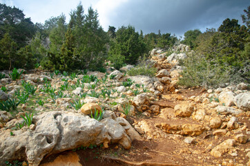 Trail of Aphrodite. Akamas Peninsula, Cyprus