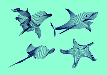 Set marine graphic animals. Vector illustration. The starfish, shark,  dolphin, cramp consist of lines.Digital elements design  for business cards, invitations, gift cards, flyers and brochures, web.
