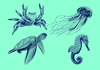 Set marine graphic animals. Vector illustration. The crab,  sea horse, jellyfish, turtle consist of lines.Digital elements design  for business cards, invitations, gift cards, flyers and brochures, we