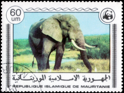 Postage stamp issued in the Mauritania with the image of the African Elephant, Loxodonta africana. From the series on WWF, circa 1978
