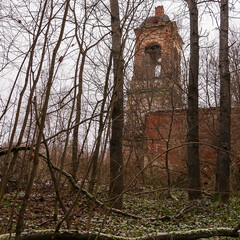 Obraz premium abandoned Orthodox Church among the trees