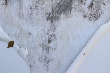 old wood texture background, copy space.