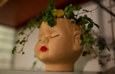 Ceramic plant pot vase of female face with plant as hair on vintage shelves home decor at night red lights cozy