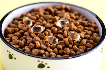 Cat food with tablets in a bowl. Vitamins for cats. Treating cats