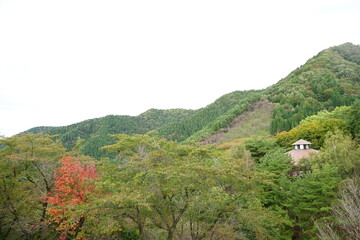 Mountain around Lake Tazawa in Japan with red autumn foliage - 田沢湖　紅葉　秋田県仙北市