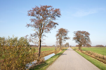 Fototapeta na wymiar Road in the dutch landscape (Friesland)