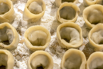 Christmas dumplings stuffed with mushrooms and onions. Borscht dumplings. Traditional Christmas Eve dish. Raw, uncooked dumplings.