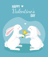 Two bunnies in love. The boy hare gives flowers to the girl. Valentines Day.