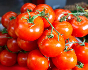 red ripe tomatoes with a branch lie on the market