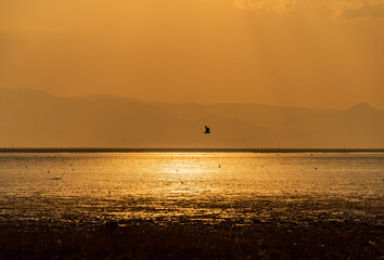 夕景（佐賀県有明海の干潟）
