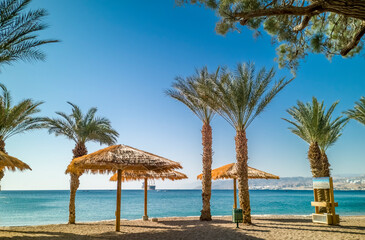 Sandy beach with palm trees at the Red Sea, Middle East