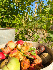 Organic biodegradable waste container with food waste and vegetable leftovers, garden compost pit...