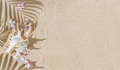 Fototapeta na wymiar White Sea shells and star fish on sand and palm tree shadows. Tropical background
