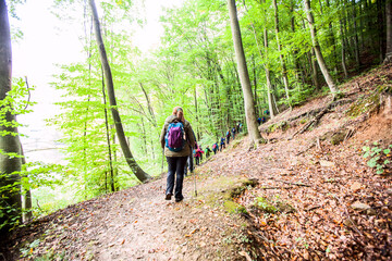 Obraz premium Hiking Woman with backpack. Walking on forest trail on autumn day. Nature lifestyle.