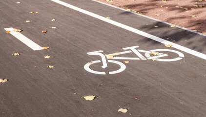 A new asphalt bike path in Kupchino, Saint Petersburg in sunny day