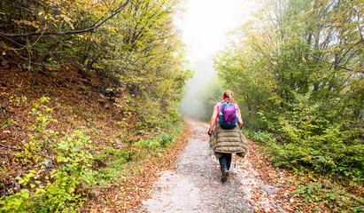 Woman with backpack hike on foggy autumn day through forest. Healthy lifestyle. Nature landscape.